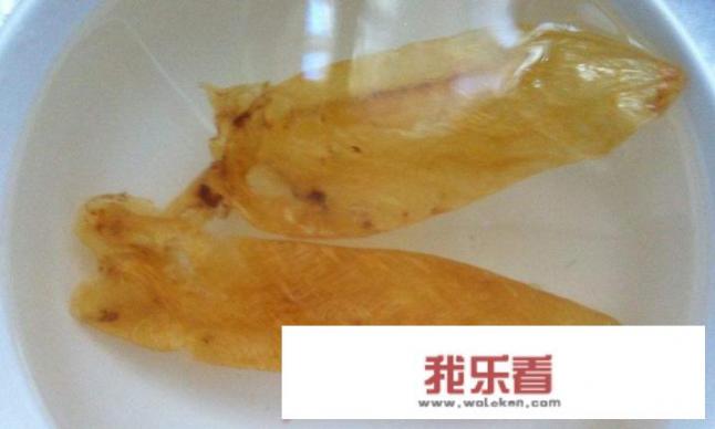 炖花胶汤的做法？