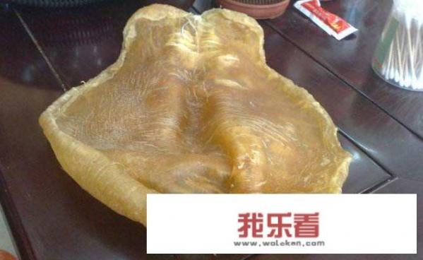 炖花胶汤的做法？