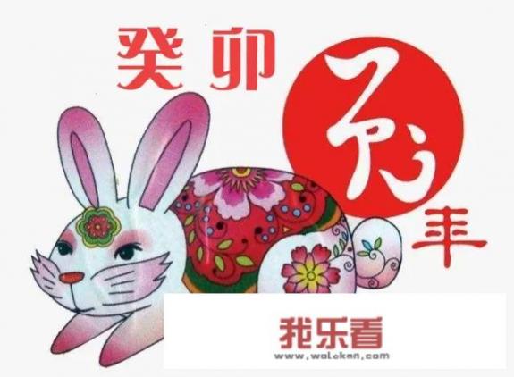 2023年是什么兔年？