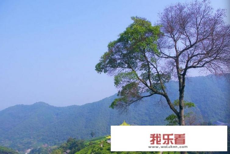 标致3008车型详解？