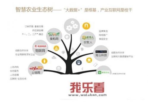 最近鸡蛋价格多少钱啊？