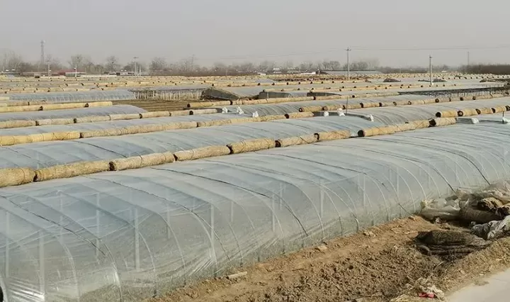 蔬菜大棚搭建方法？