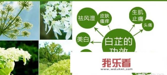 中药面膜膏制作方法？