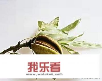 中药面膜膏制作方法？