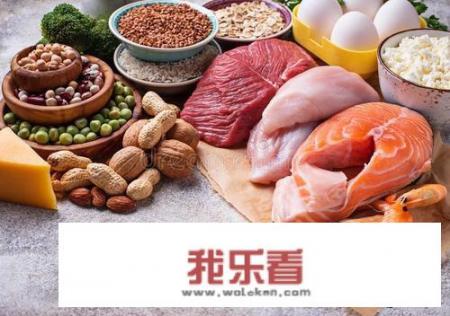 蛋白质高的食物排行榜前10？