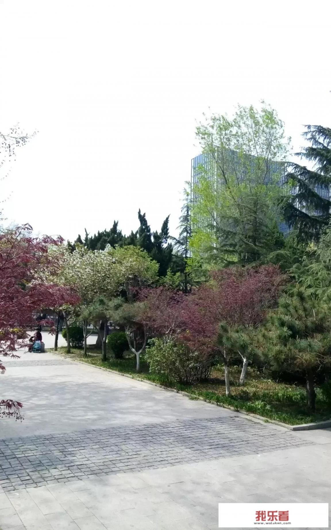 可以分享一些你亲手拍摄的自然美景高清原图并说说你是如何拍摄的吗？
