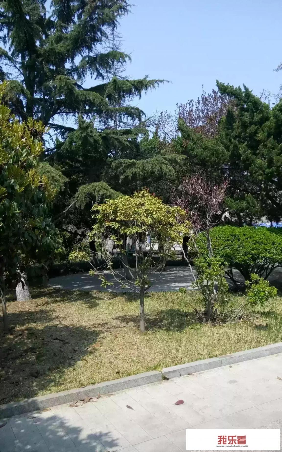 可以分享一些你亲手拍摄的自然美景高清原图并说说你是如何拍摄的吗？