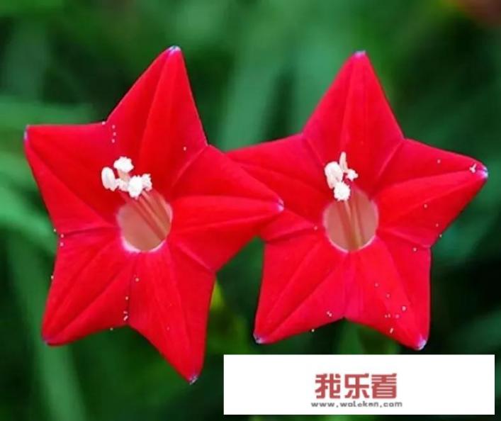 为什么朋友圈都是晒天空的？