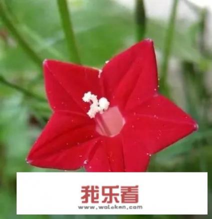 为什么朋友圈都是晒天空的？