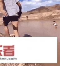 gif什么意思梗？