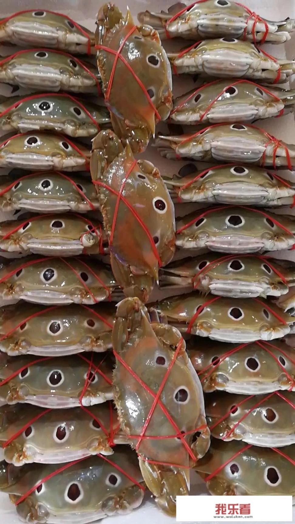 冷冻的螃蟹可以吃吗？