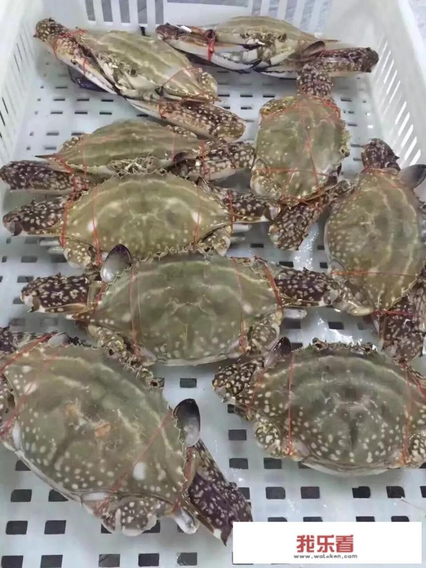 冷冻的螃蟹可以吃吗？