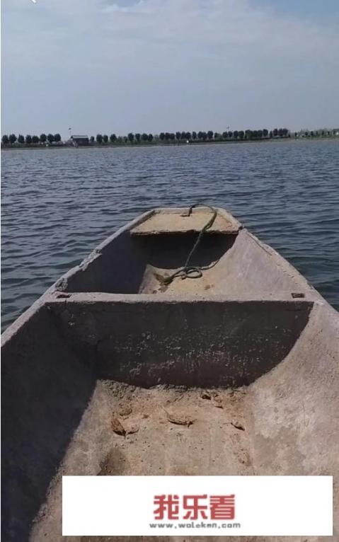 草鱼是哪种动物？