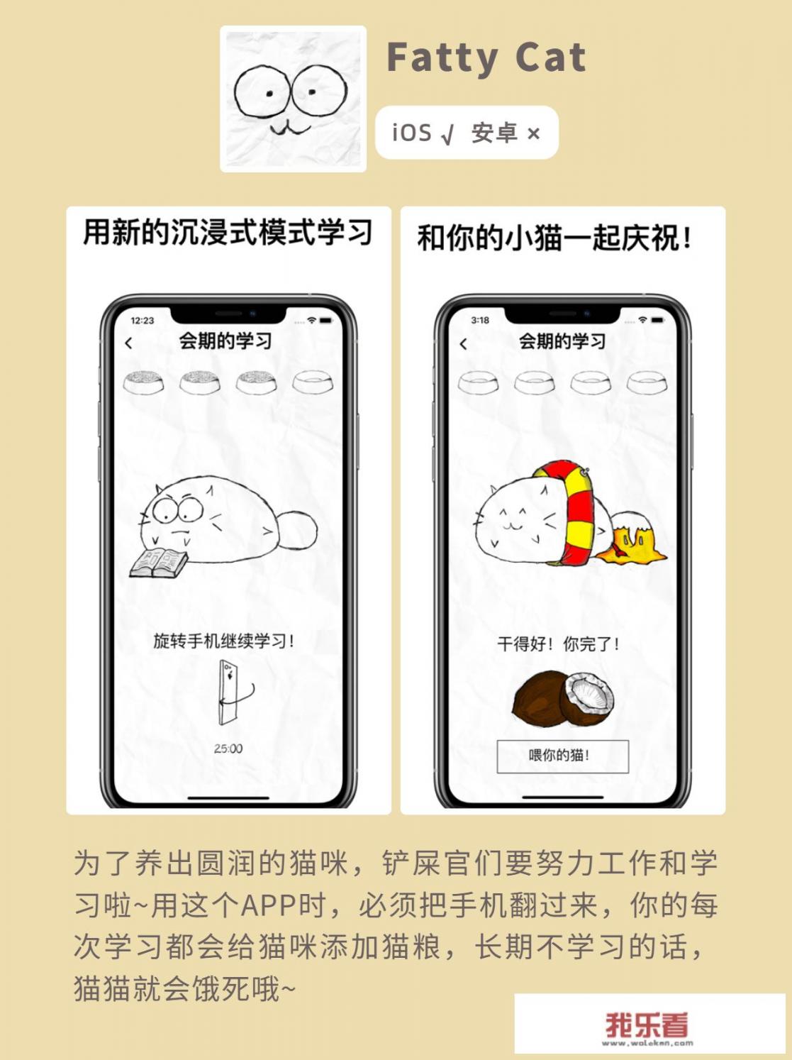 什么是手机桌面布局？