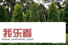 清明节缅怀先烈诗词？