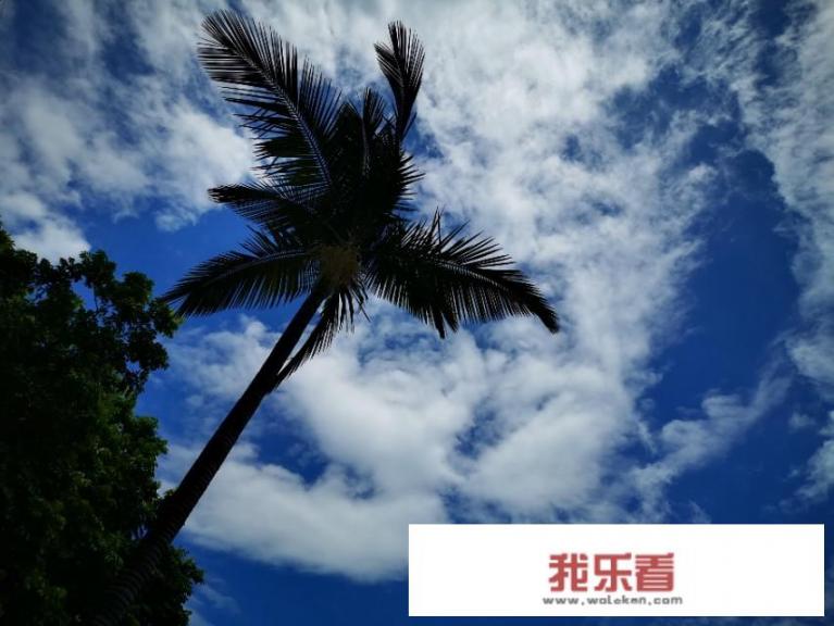 发蓝天白云图片意味着什么？