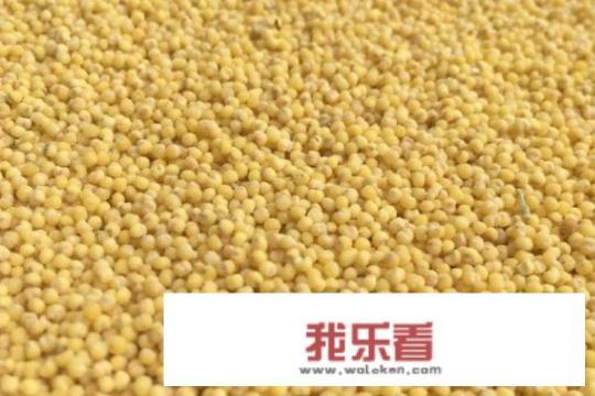 7种面小米饼做法？