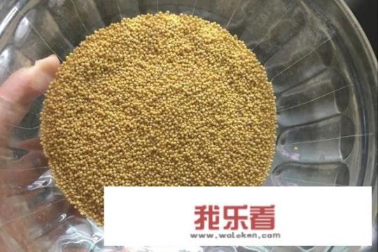 7种面小米饼做法？