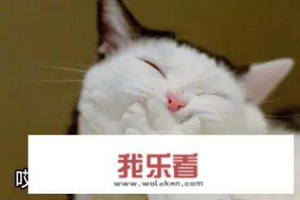 免费背景音乐资源，哪里能获得？做视频时需要用到各种类型的？