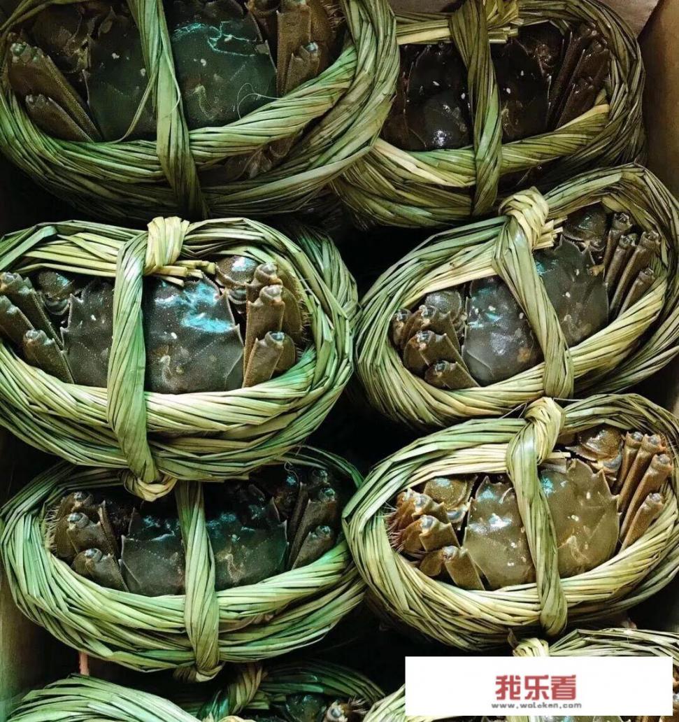 王氏大闸蟹什么好卖桐舰店？