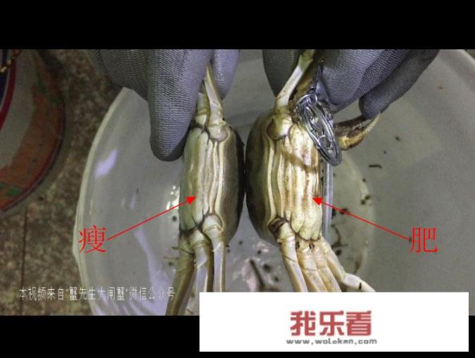 王氏大闸蟹什么好卖桐舰店？