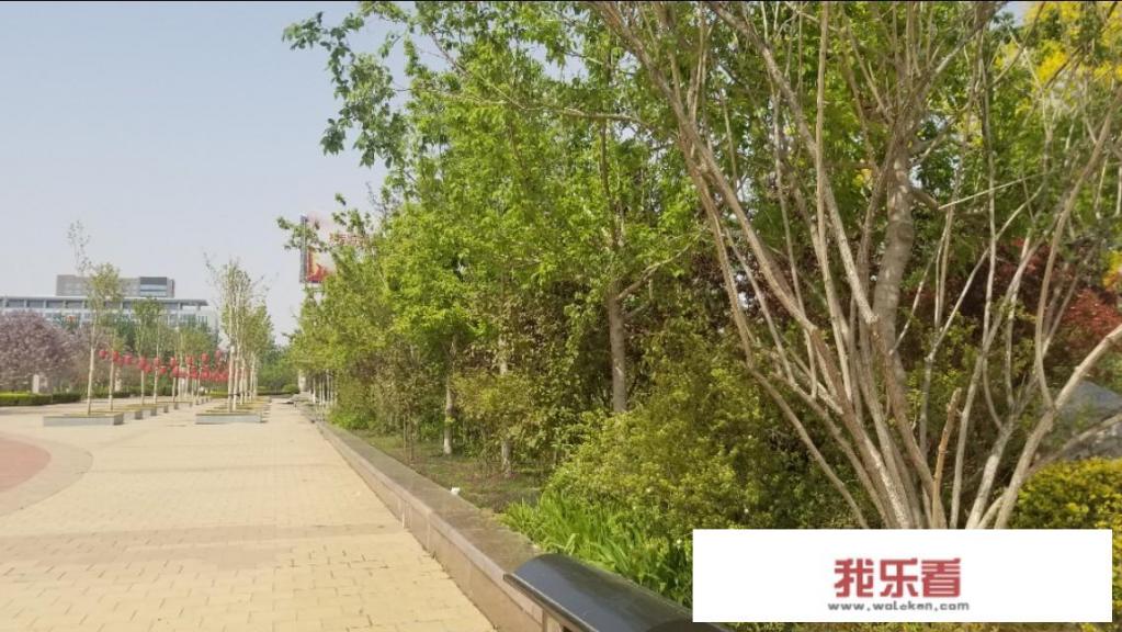 05年奔驰E55参数？
