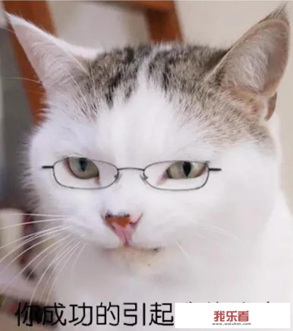 店铺招商广告怎么发布？