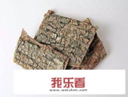 有哪些泡水喝可以的补肾中药吗？