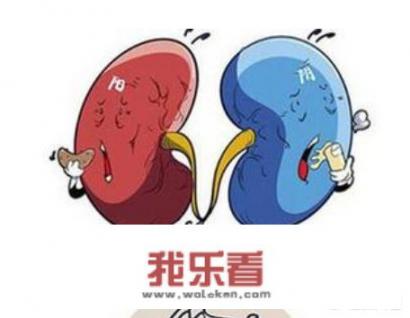 有哪些泡水喝可以的补肾中药吗？