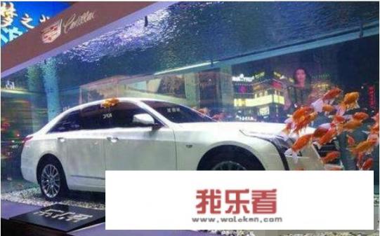 凯迪拉克追高铁事情最后怎么样了？