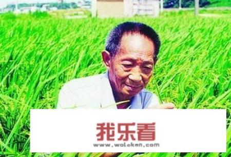 什么是粳米，糙米，大米，小米，精米怎样区分？