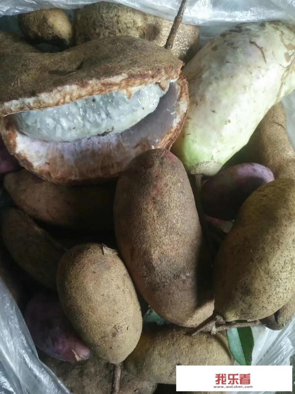 八月炸介绍？