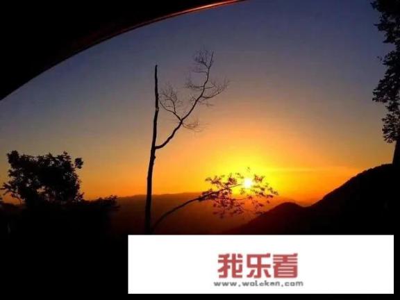 怎么才能在两天内挣到两万快钱？我急需两万救命？