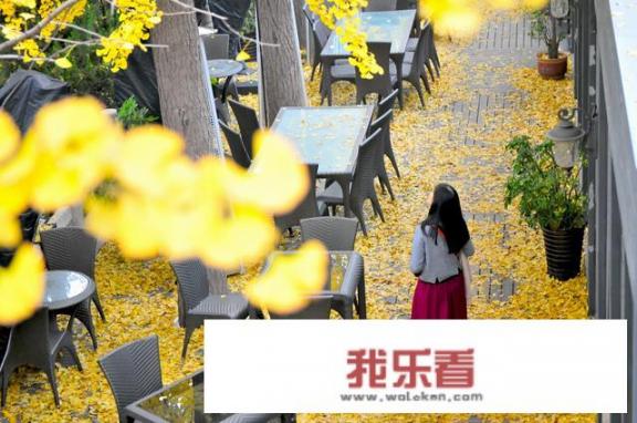摄影中什么叫前景，什么叫背景？