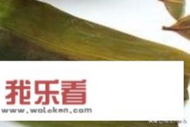 1分钟学会粽子的包法？