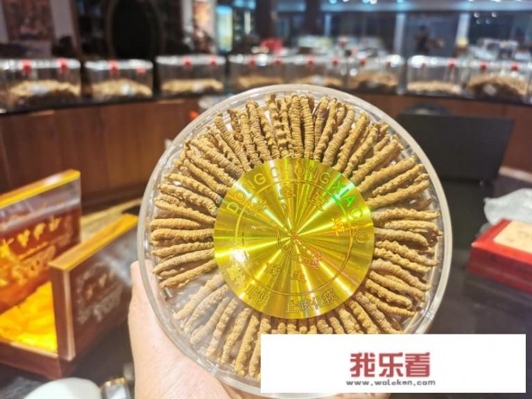土虫草的吃法？