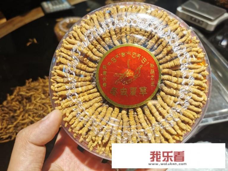 土虫草的吃法？
