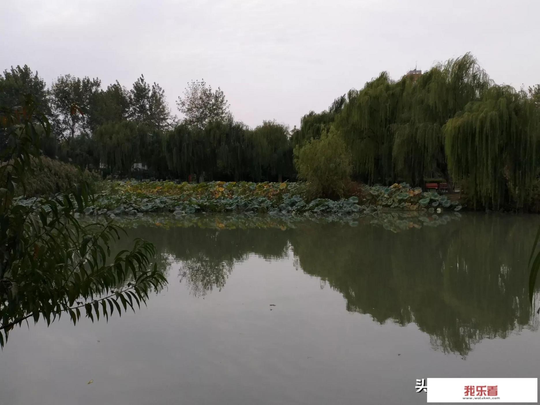 最美秋季，这个季节你身边最美的风景是哪里呢？可否分享美图？