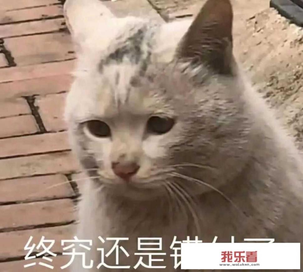 怎样才能瘦腿最快最有效？