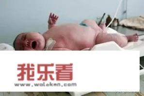 小的笔顺规则是什么,和他笔顺规则相同的字有哪些？