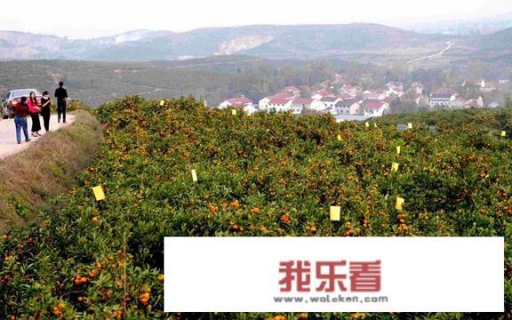汉中城固的风景好吗?气候和消费水平怎么样？