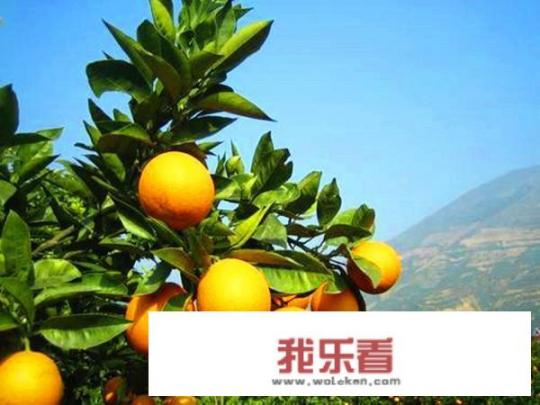 汉中城固的风景好吗?气候和消费水平怎么样？