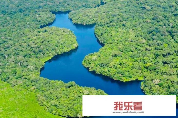 什么是热带雨林？
