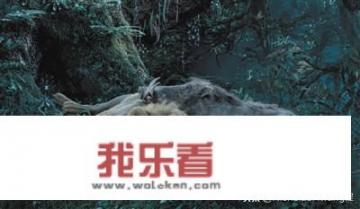 狮子王是谁？