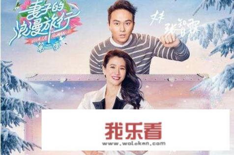 妻子的浪漫旅行有哪些夫妻？