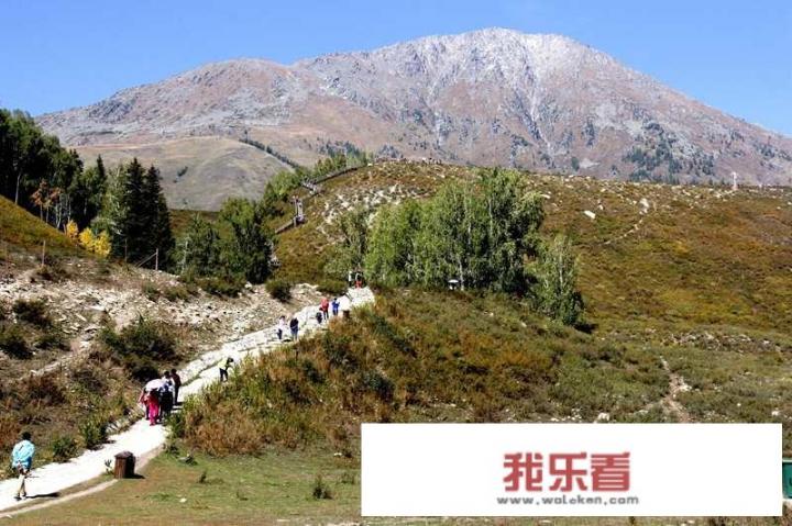 新疆阿勒泰的景点众多，你去过哪几处？