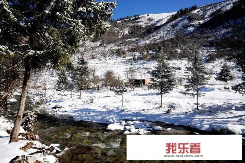 发几张你手机里这两天拍的一组雪天美景照片吧？看看你那里有多美？