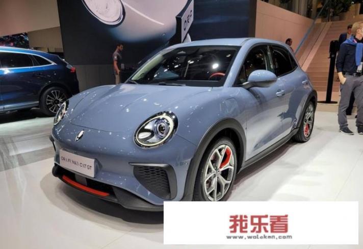 310公里续航，欧洲用户会认可欧拉好猫吗？