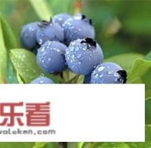 蓝莓长什么样子，有图片吗？