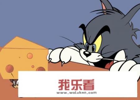 《猫和老鼠》为什么这么受欢迎？